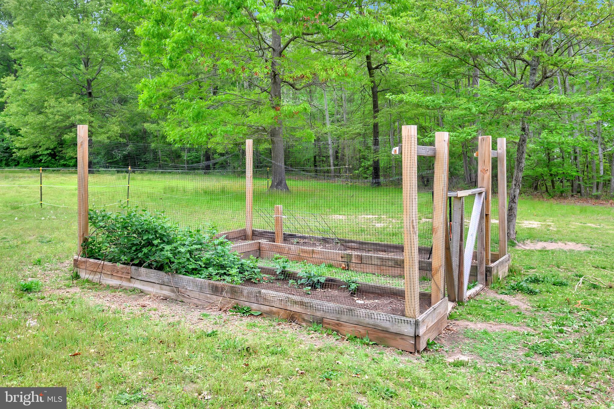 14044 Round Hill Road King George, VA 22485 - Photo 31 of 71 Gallery Image 31