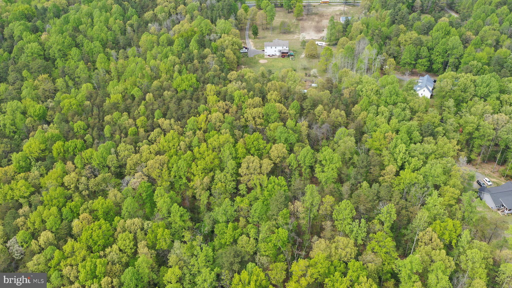14044 Round Hill Road King George, VA 22485 - Photo 10 of 71 Gallery Image 10