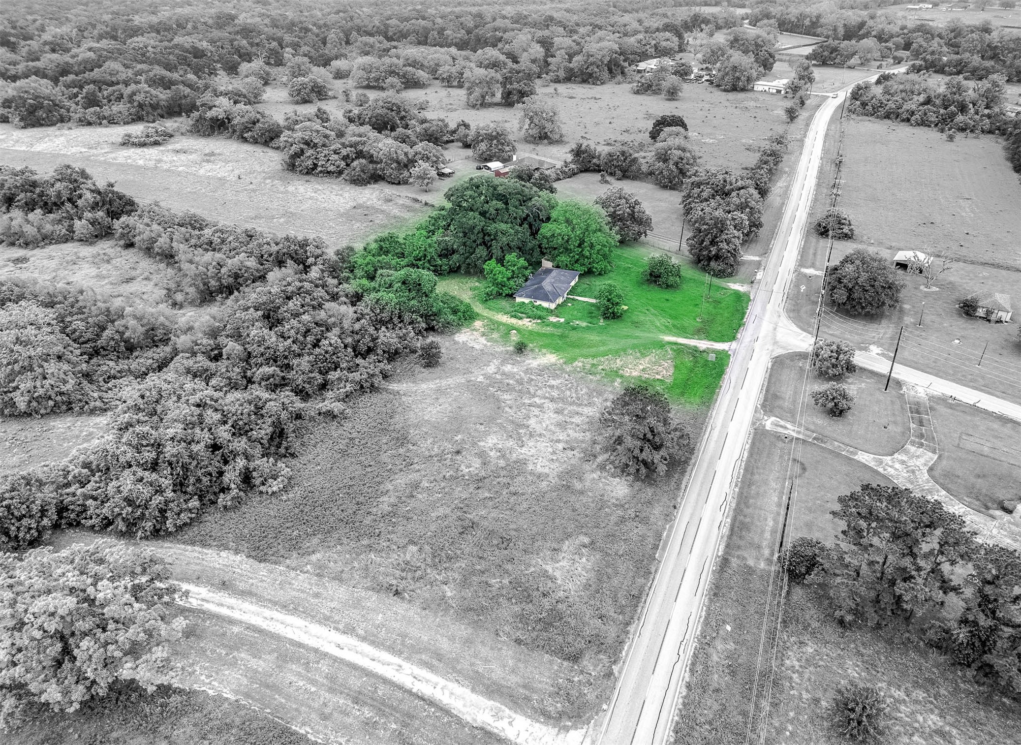 2719 Farm To Market 524 Road Sweeny, TX 77480 - Photo 19 of 20 a view of a dry yard with trees