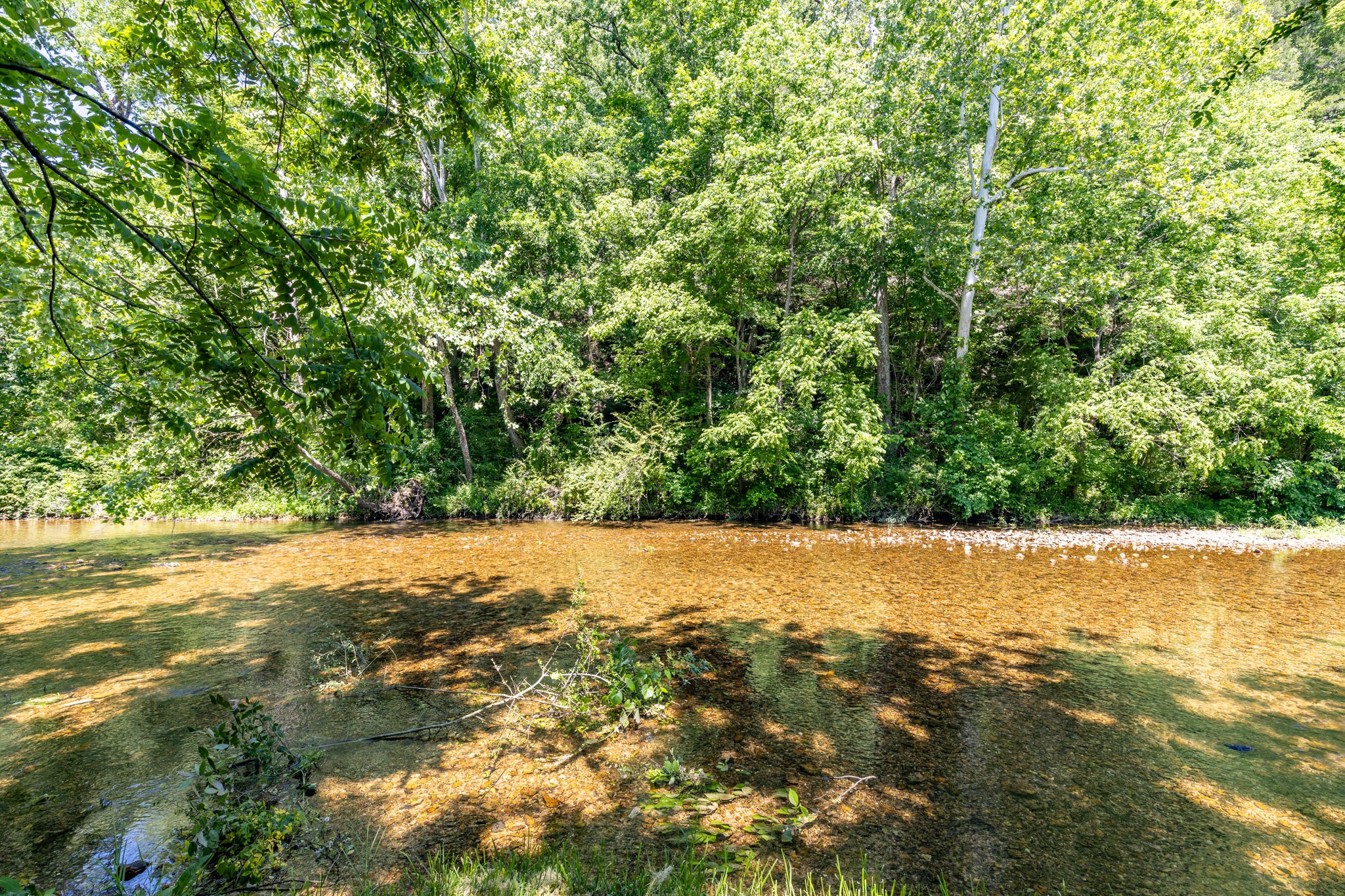 615 Little Swan Creek Road Hohenwald, TN 38462 - Photo 55 of 66