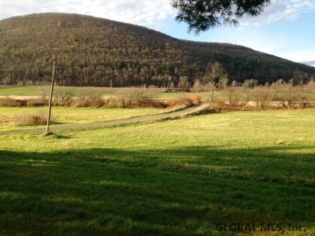 177 Tromp Road Schenevus, NY 12155 - Photo 4 of 25 Photo 4