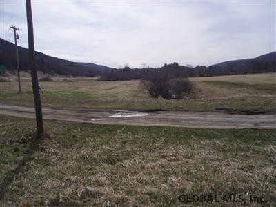 177 Tromp Road Schenevus, NY 12155 - Photo 6 of 25 Photo 6