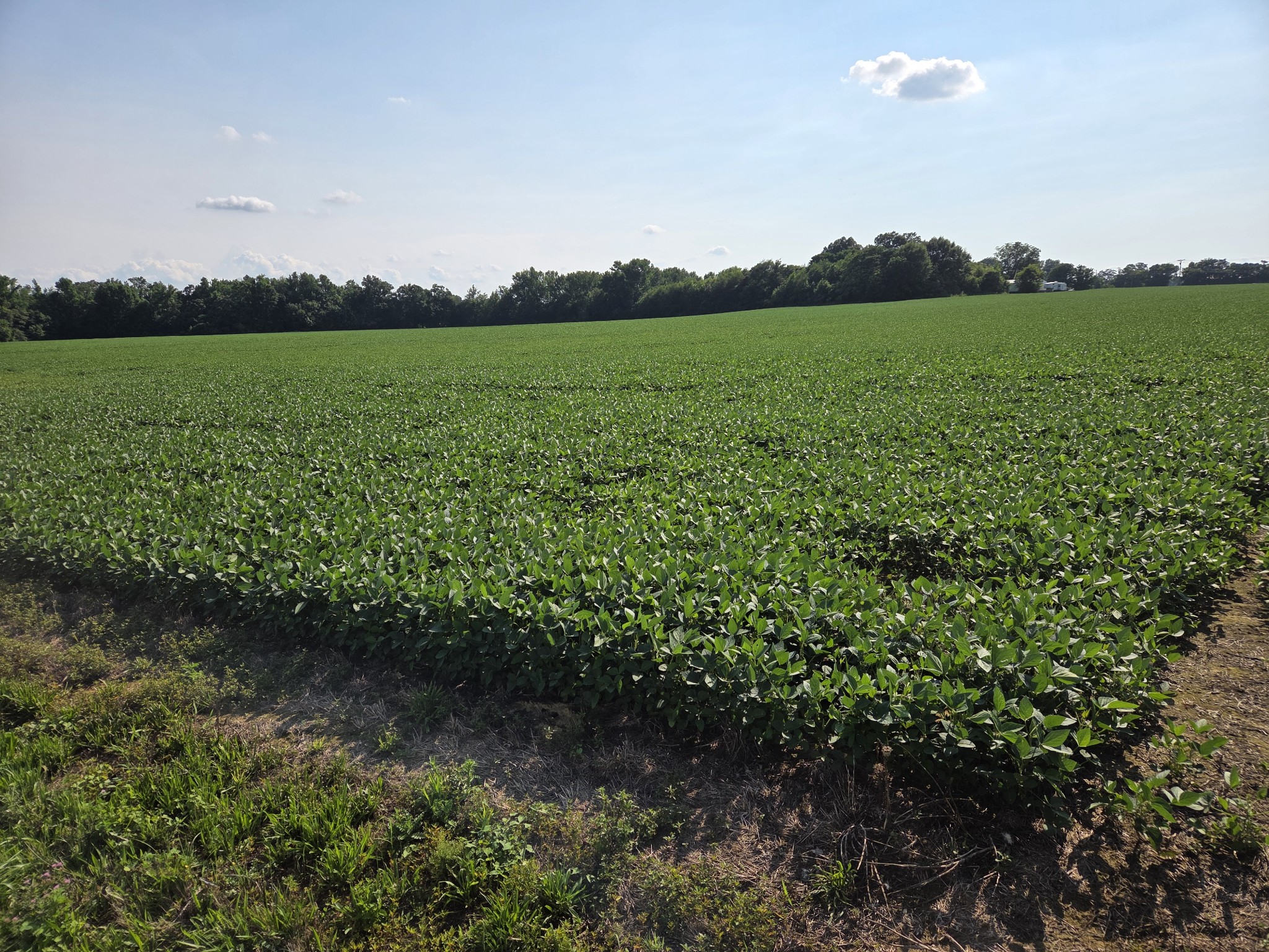 0 Power Station Road Taft, TN 38488 - Photo 2 of 4