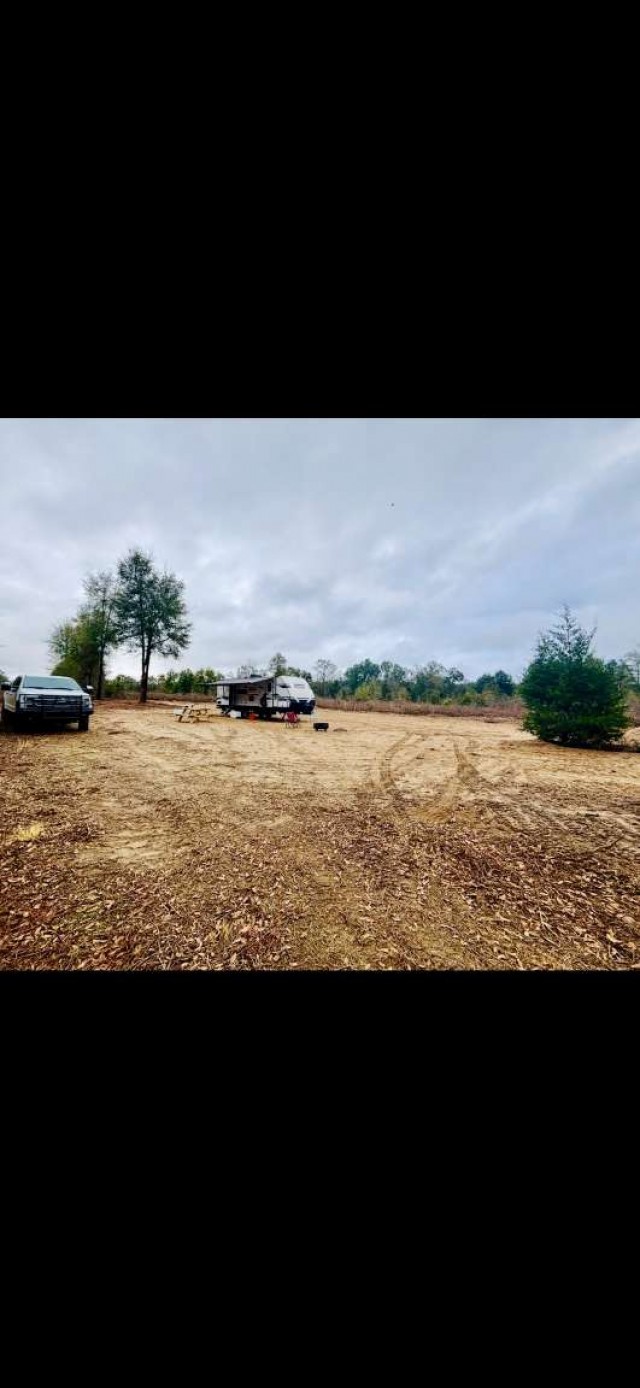 0 Sealy Wells Road Gordon, AL 36343 - Photo 18 of 25
