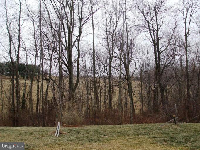 1608 Rising Ridge Road Mount Airy, MD 21771 - Photo 2 of 19 Deck - View from