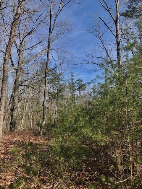0 Mud Road Graysville, TN 37338 - Photo 4 of 19 Gallery Image 4