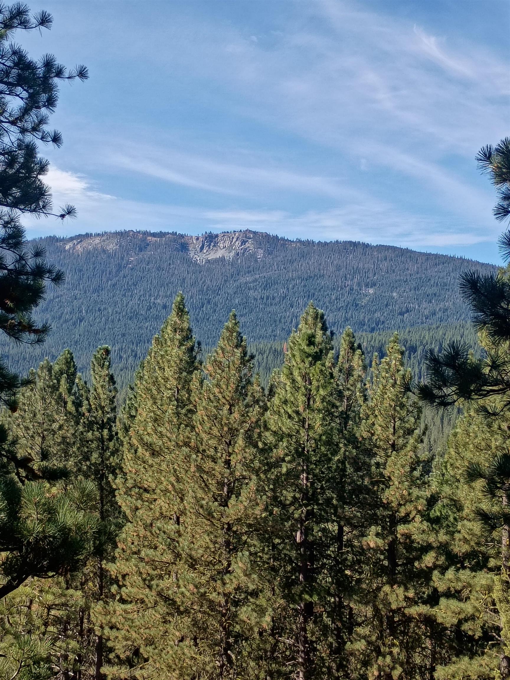 1730 Grey Squirrel Road Clio, CA 96106 - Photo 1 of 1 Gallery Image 1