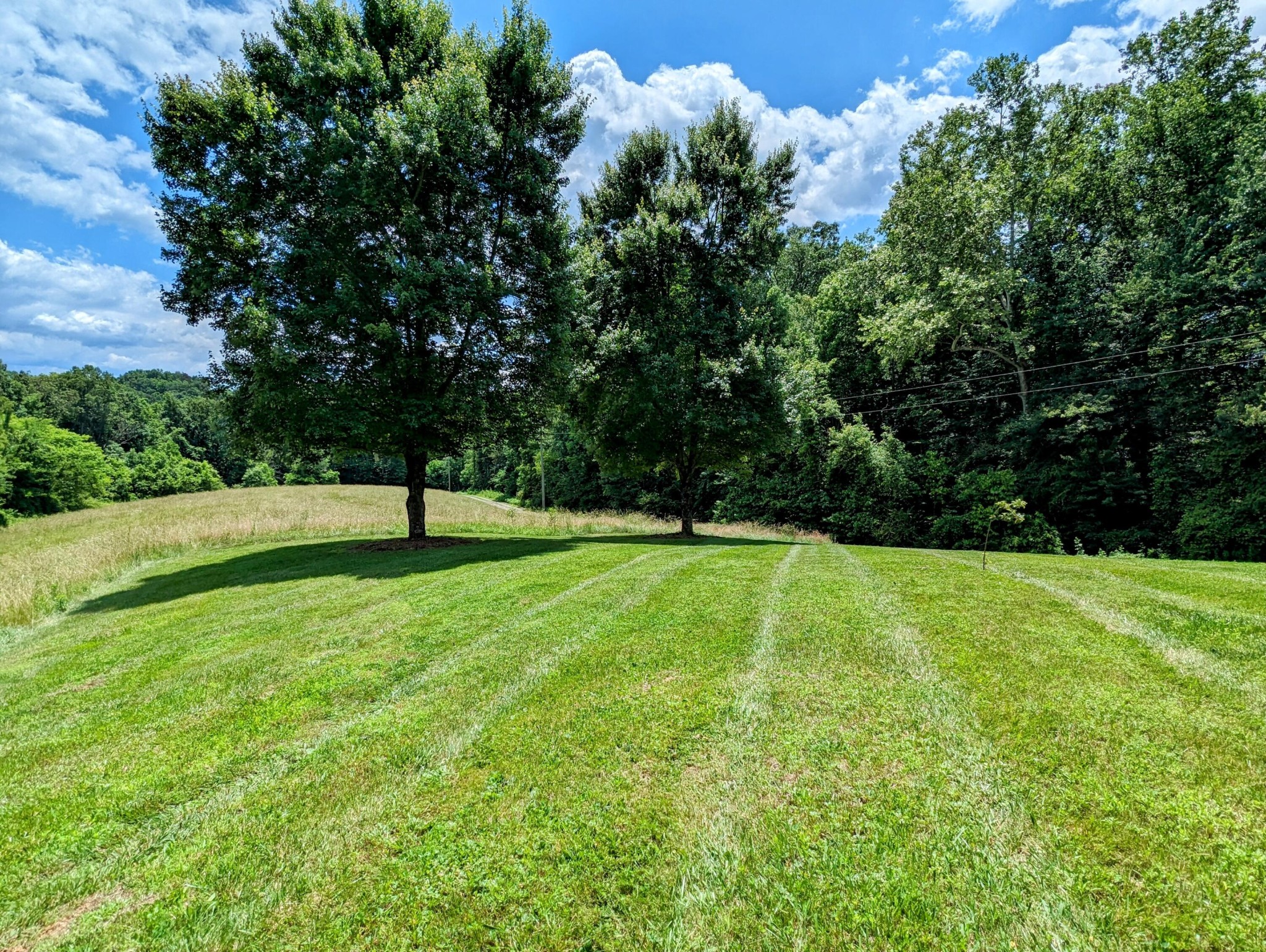 3464 Whaley Road Sevierville, TN 37876 - Photo 38 of 40
