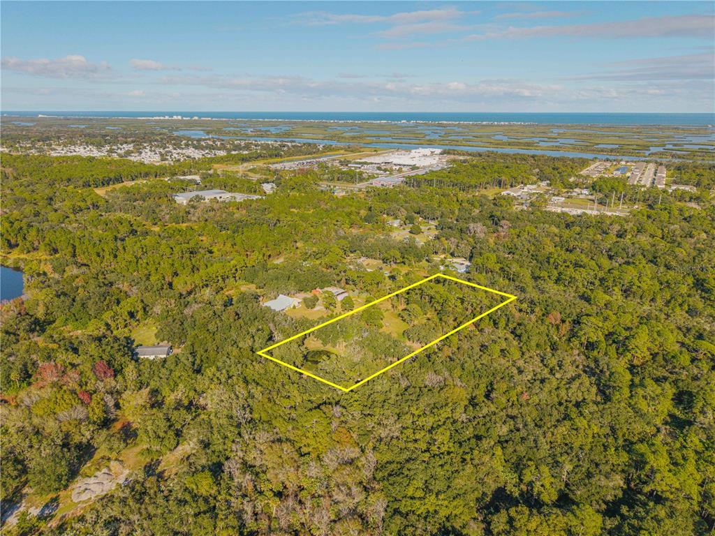0 Clinton Cemetery Road Edgewater, FL 32141 - Photo 6 of 32