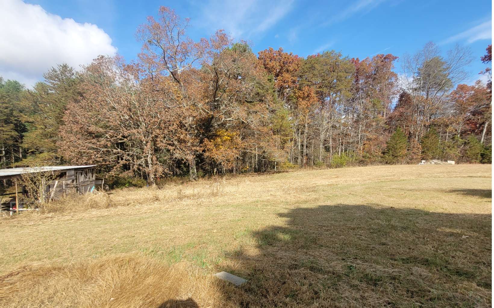 736 Damascus Road Blue Ridge, GA 30513 - Photo 5 of 15 Additional View