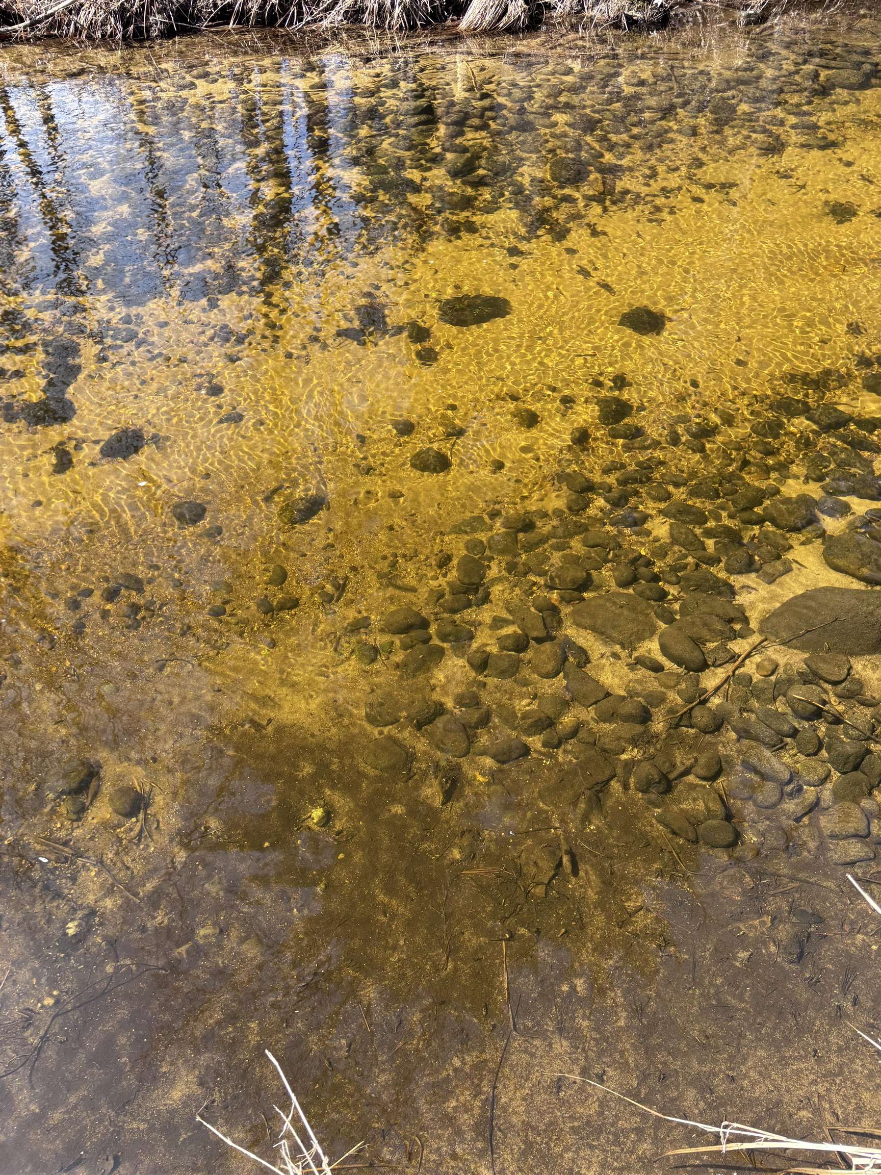 166 Amherst Street Amherst, NH 03031 - Photo 52 of 52