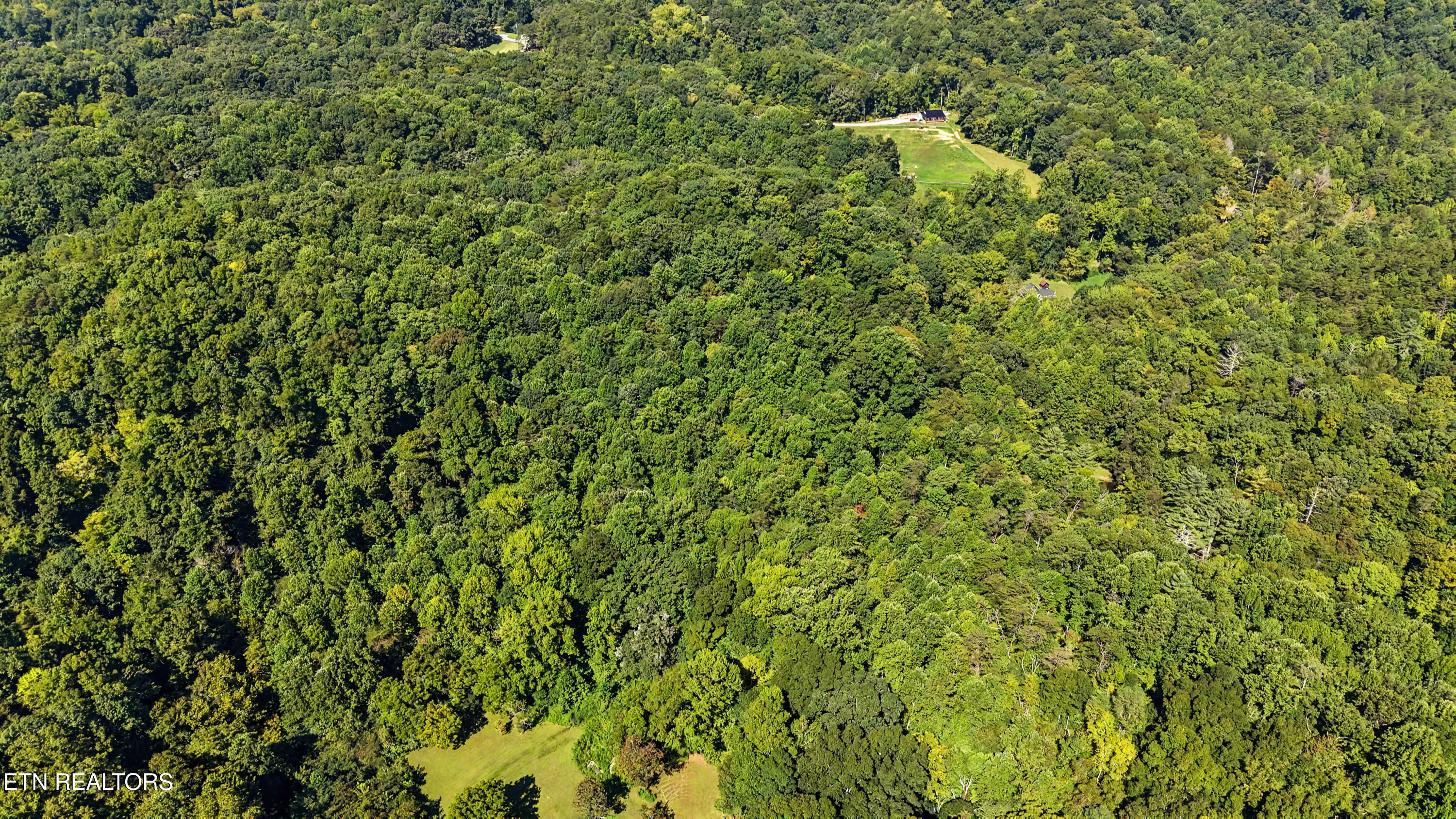 Tract 2-r-3 Cold Springs Road Walland, TN 37886 - Photo 11 of 17 DJI_20260824112530_0159_D-2