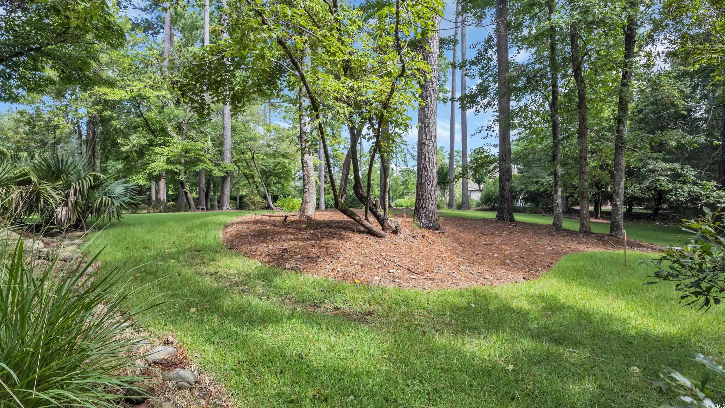Lot 15 Nautilus Drive Murrells Inlet, SC 29576 - Photo 4 of 28 Gallery Image 4