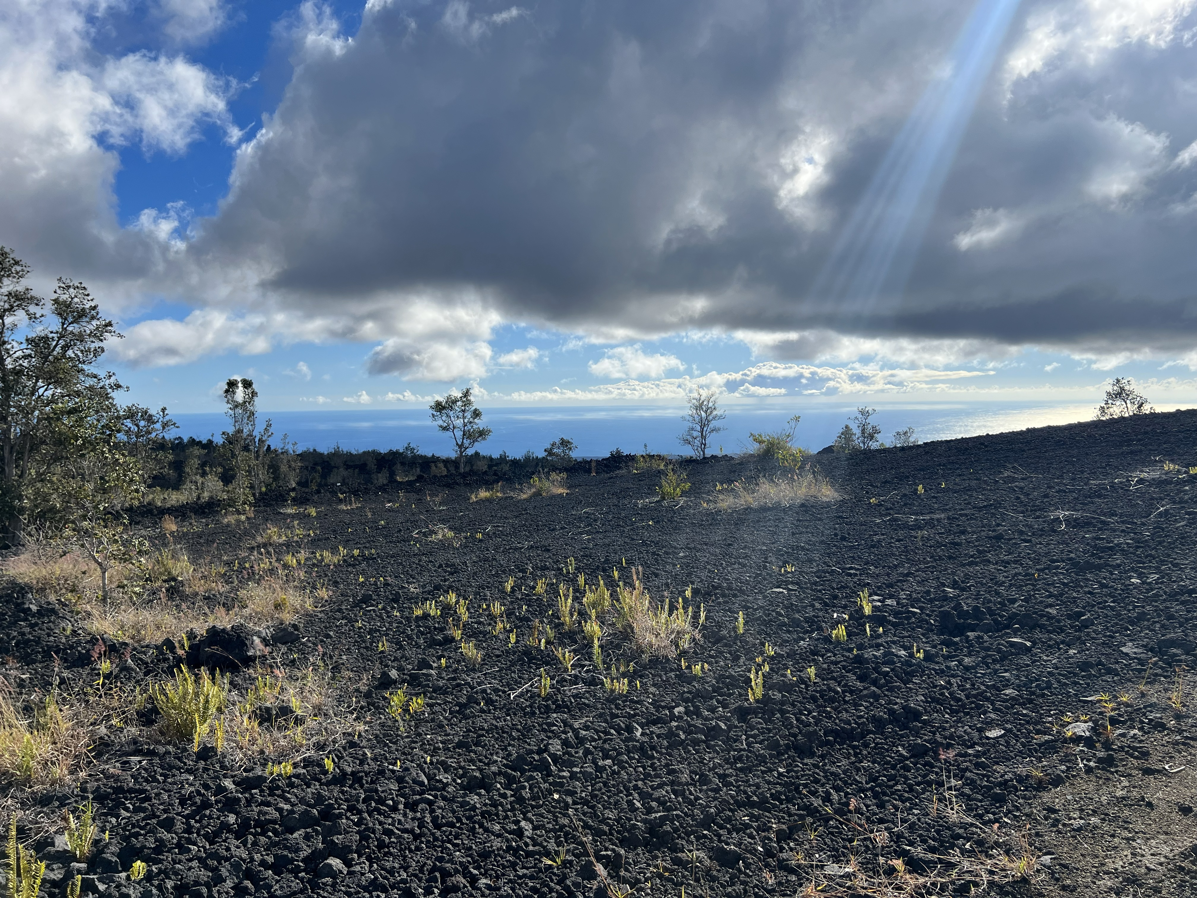 22 A Lot Ocean View Ocean View, HI 96704 - Photo 3 of 7