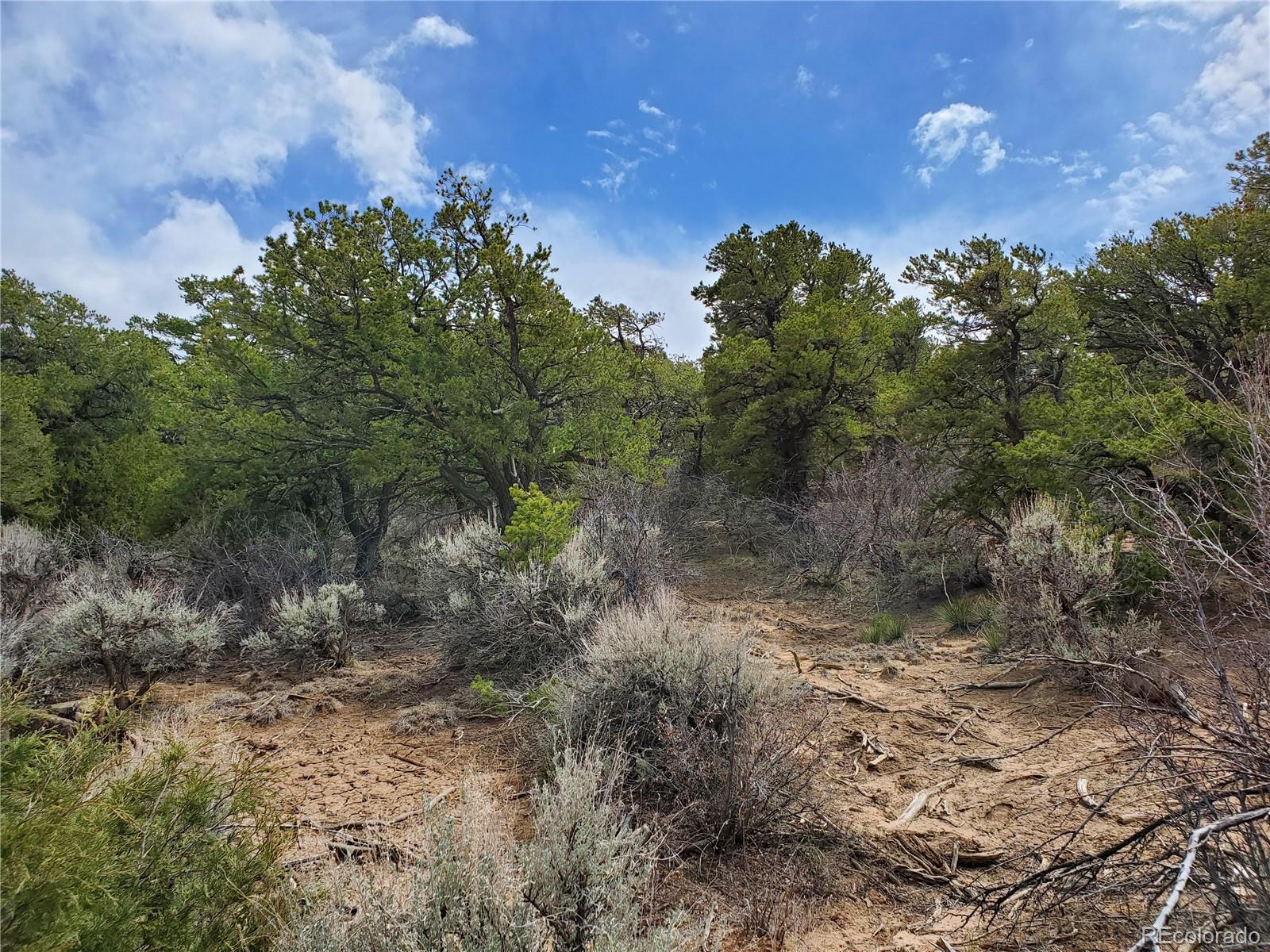 2262 Bateman Road Fort Garland, CO 81133 - Photo 22 of 25 Gallery Image 22