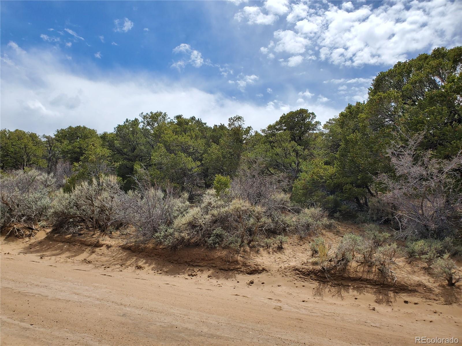 2262 Bateman Road Fort Garland, CO 81133 - Photo 25 of 25 Gallery Image 25