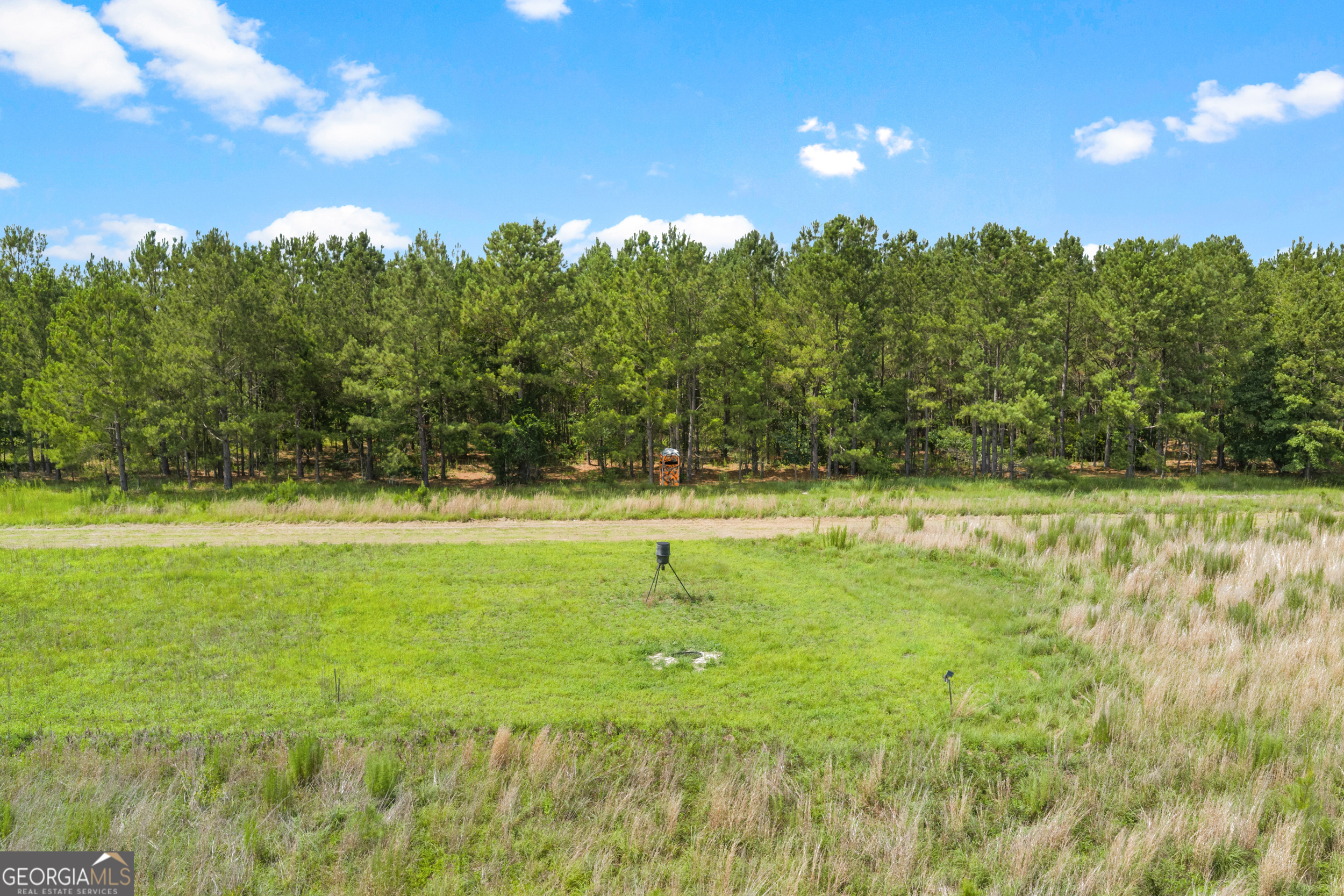 854 Bell Road Millen, GA 30442 - Photo 35 of 68