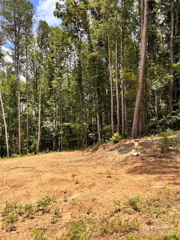 a view of empty space with trees