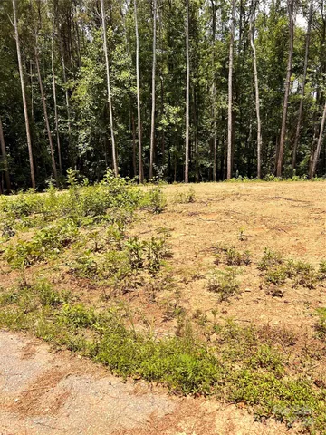 a view of a backyard of the house