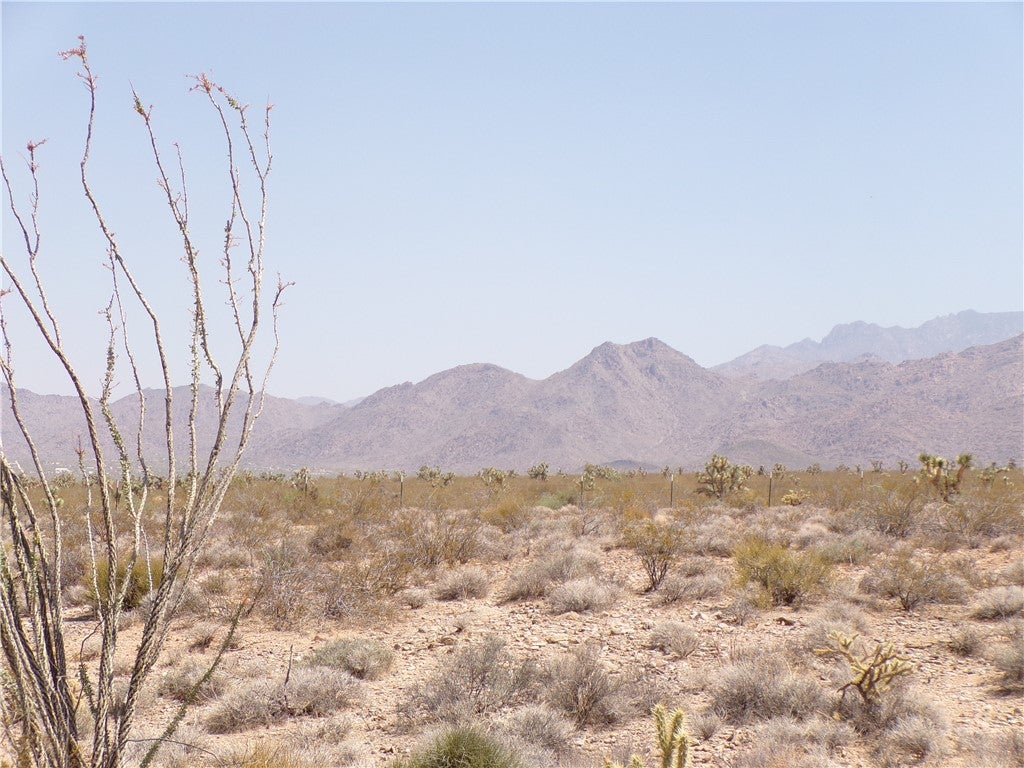 245-18-197 South Sherry Road Yucca, AZ 86438 - Photo 21 of 35 Gallery Image 21