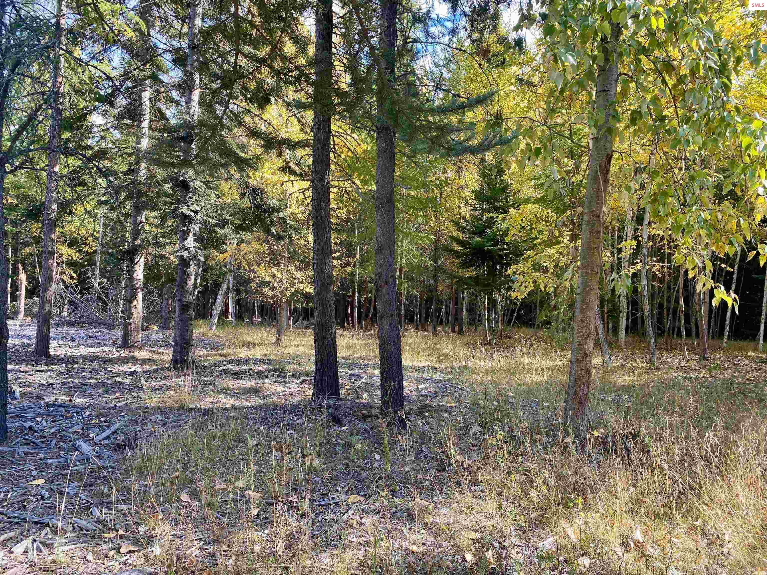 Nna Cougar Road Naples, ID 83847 - Photo 5 of 43 Gallery Image 5