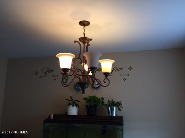 4124 Shearin Road Whitakers, NC 27891 - Photo 11 of 23 Dining Fixtures