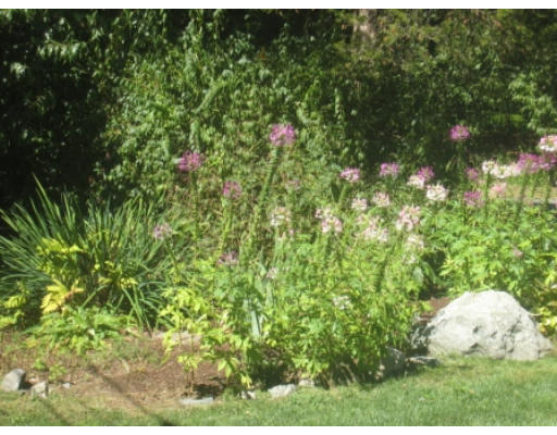 17 Peacock Farm Road Lexington, MA 02421 - Photo 21 of 21