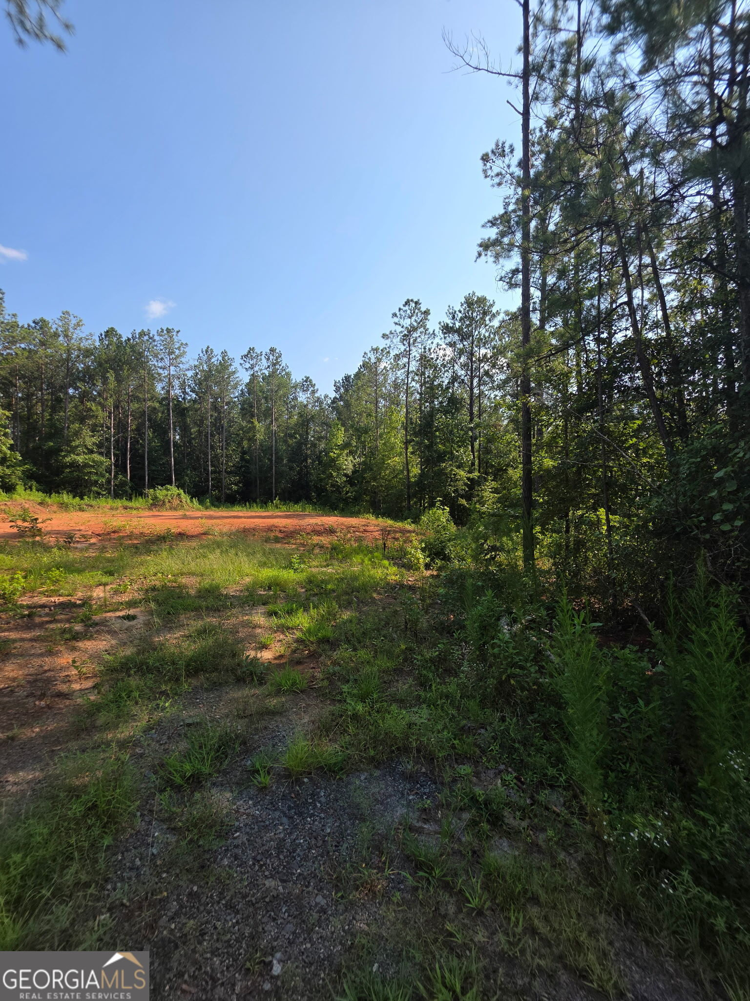 276 Bishop Road Meansville, GA 30256 - Photo 1 of 1 Gallery Image 1