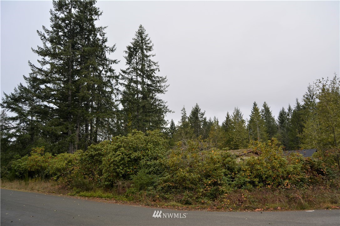 15100 Rosemary Loop Road Southeast Olalla, WA 98359 - Photo 2 of 5 Gallery Image 2