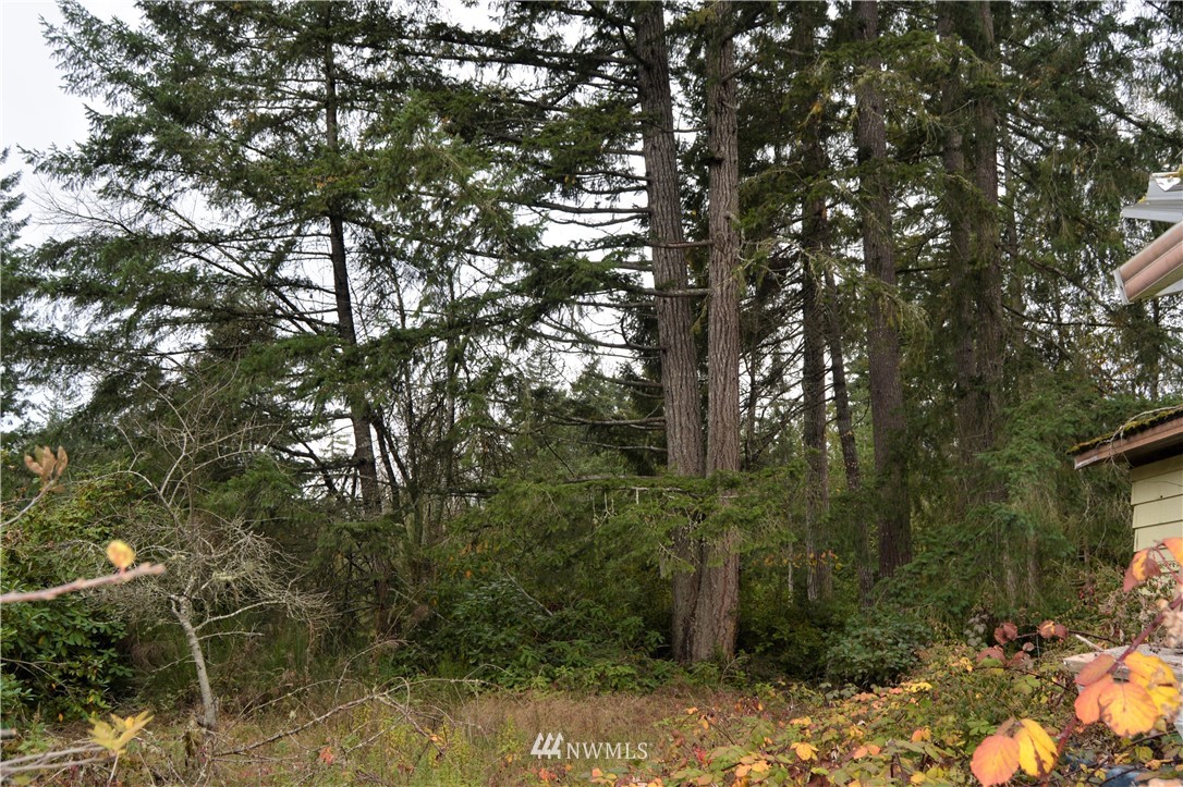 15100 Rosemary Loop Road Southeast Olalla, WA 98359 - Photo 4 of 5 Gallery Image 4