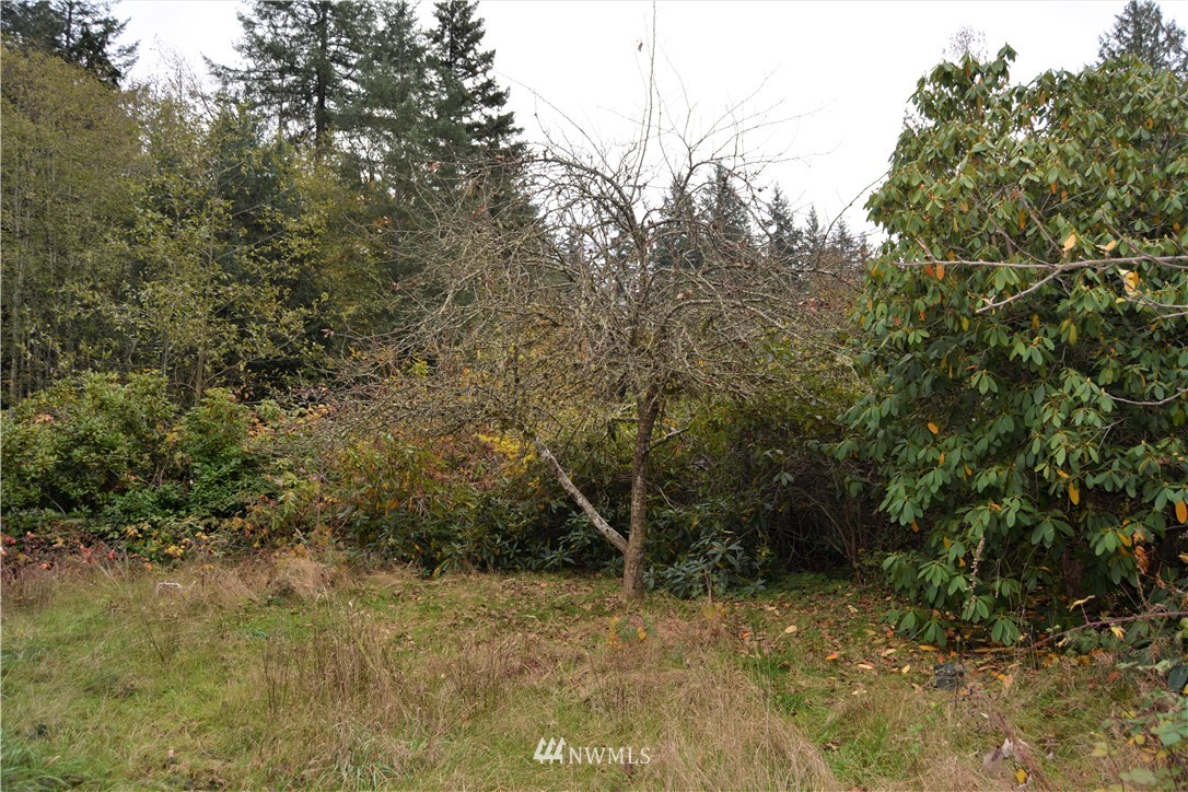 15100 Rosemary Loop Road Southeast Olalla, WA 98359 - Photo 5 of 5 Gallery Image 5
