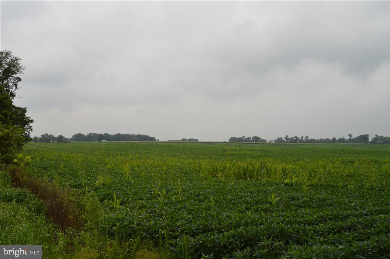 Lot 1 West Springville Road Boiling Springs, PA 17007 - Photo 1 of 4 Gallery Image 1