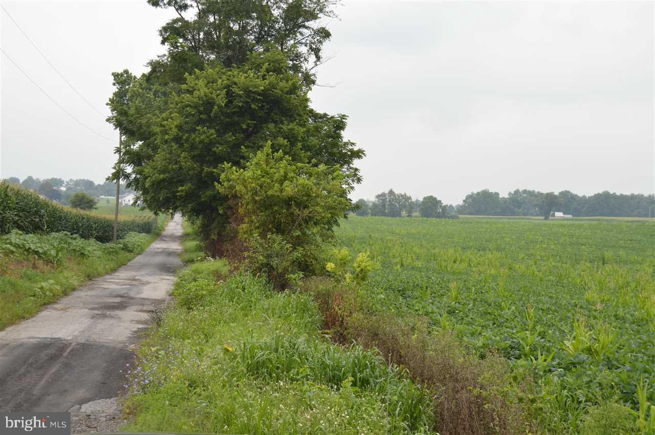 Lot 1 West Springville Road Boiling Springs, PA 17007 - Photo 2 of 4 Gallery Image 2