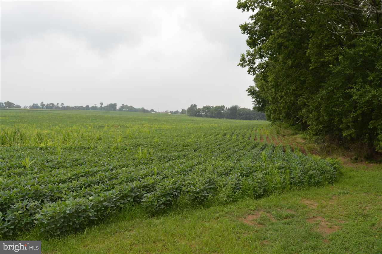 Lot 1 West Springville Road Boiling Springs, PA 17007 - Photo 3 of 4 Gallery Image 3