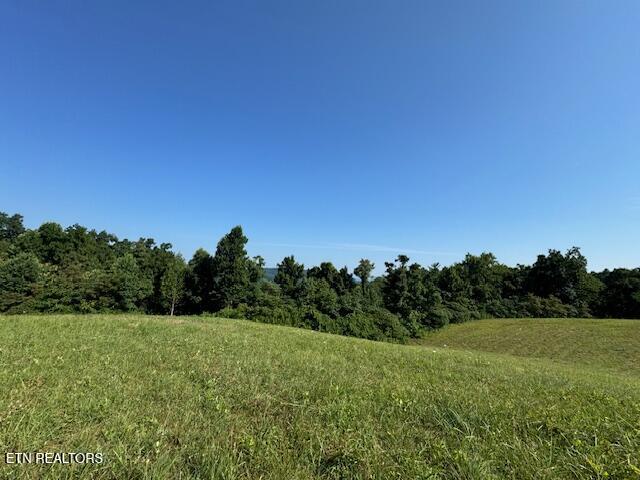 2726 Doubletop Road Jamestown, TN 38556 - Photo 6 of 7 buck9