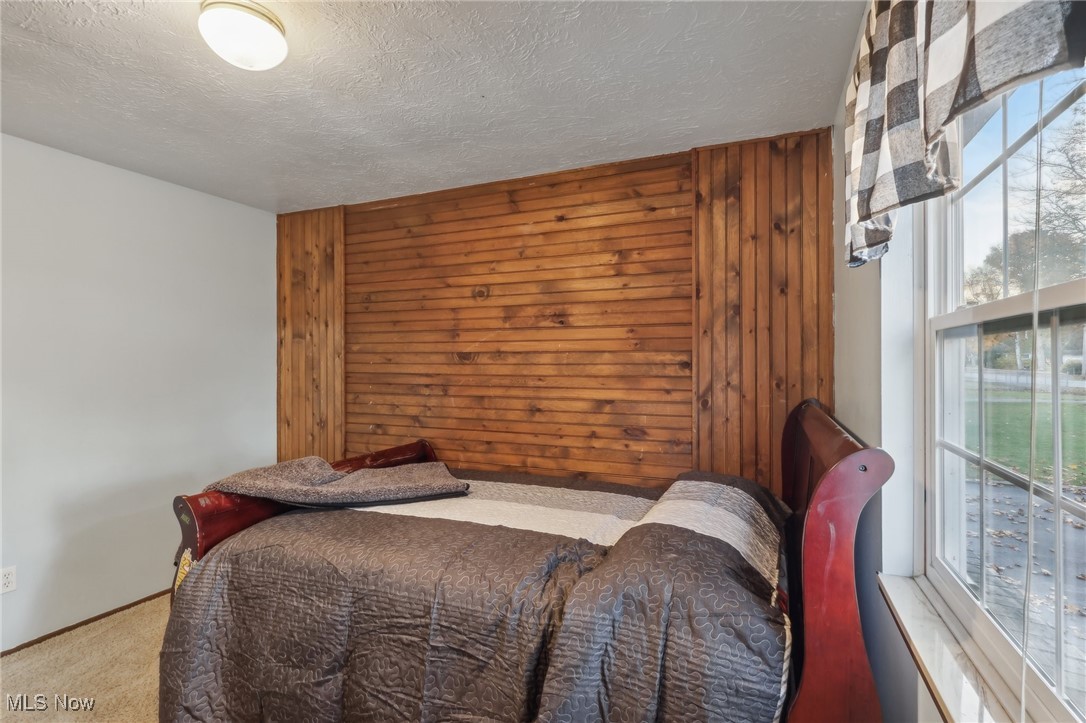 167 Birch Road Painesville, OH 44077 - Photo 19 of 49 Bedroom featuring multiple windows, wooden walls, carpet flooring, and a textured ceiling
