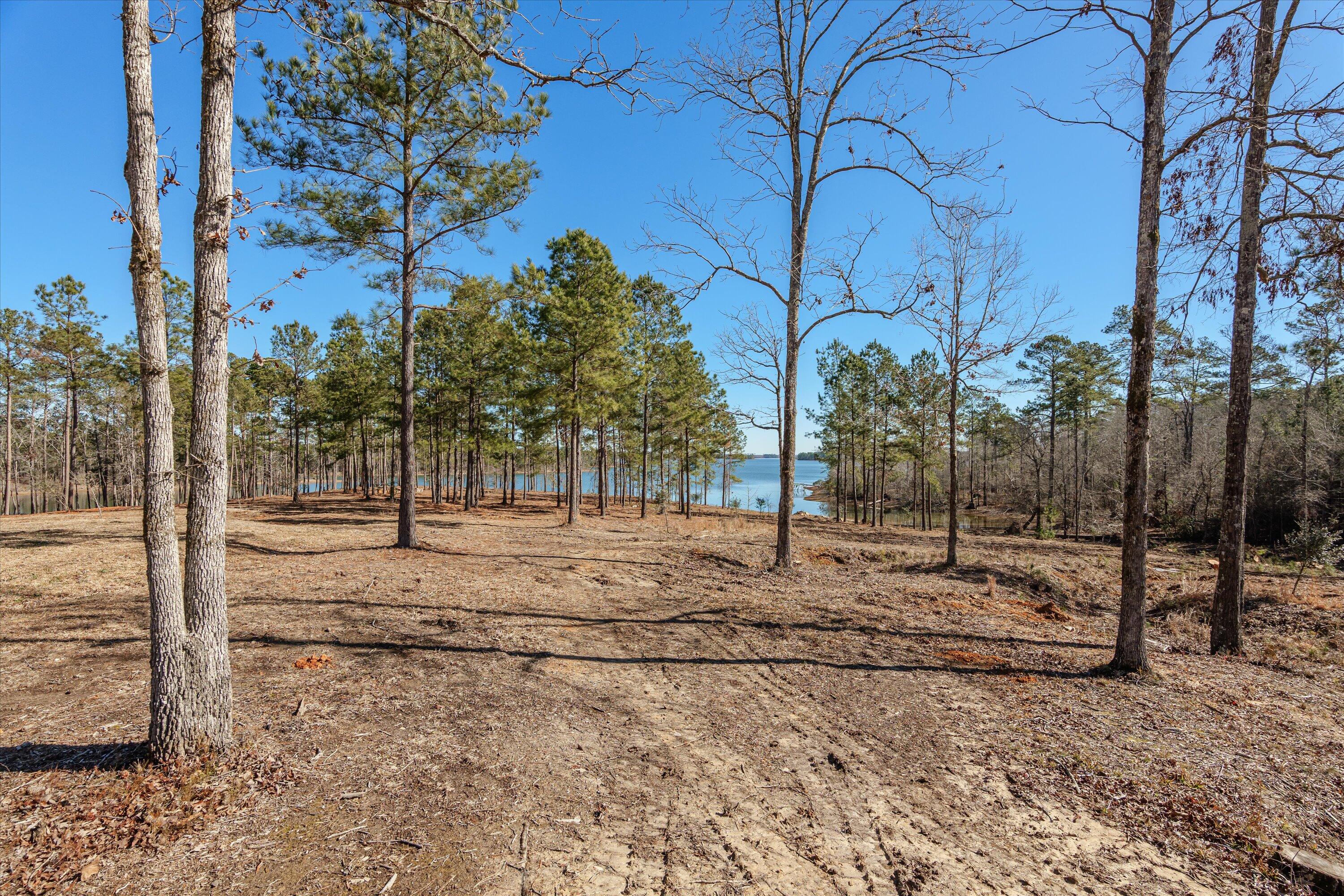 1063 Fleming Lk Court Lincolnton, GA 30817 - Photo 68 of 75 025-PS528940