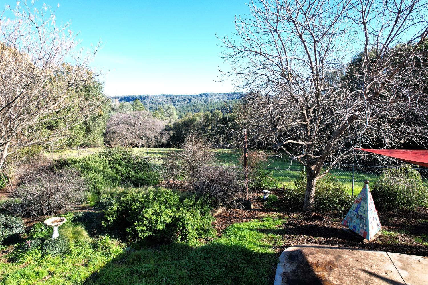 17051 Hale Road Fiddletown, CA 95629 - Photo 36 of 54