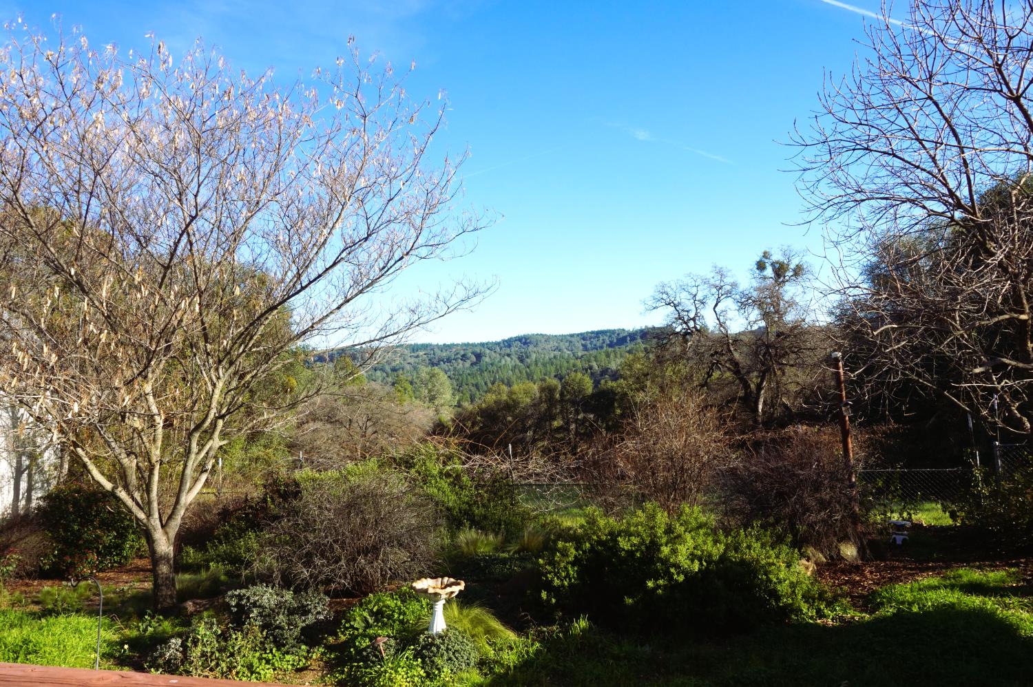 17051 Hale Road Fiddletown, CA 95629 - Photo 43 of 54