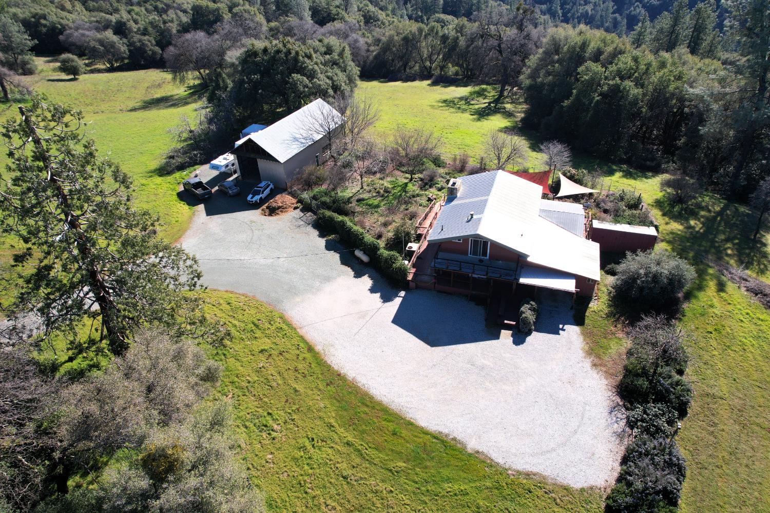 17051 Hale Road Fiddletown, CA 95629 - Photo 50 of 54