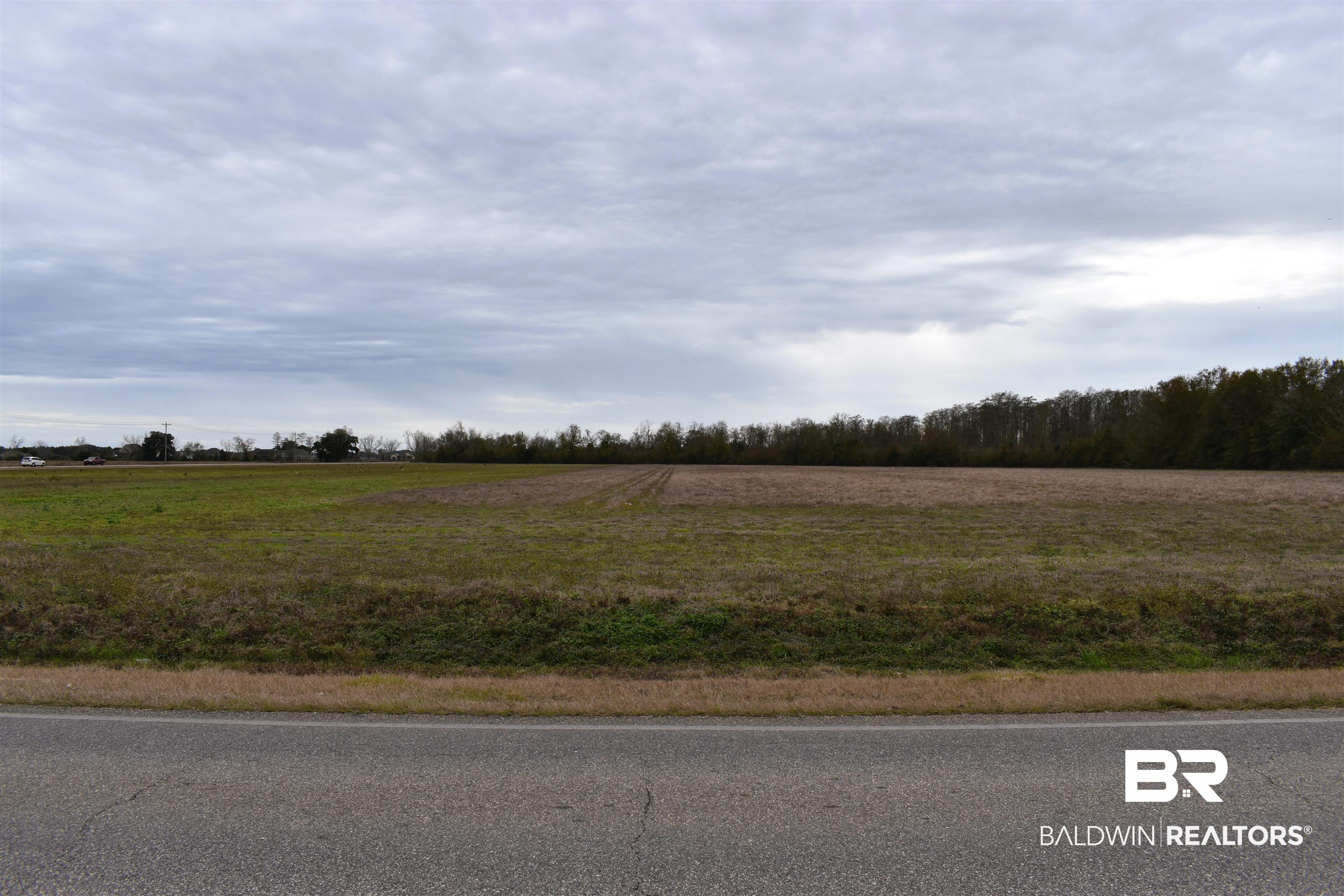 0 County Road 28 Foley, AL 36535 - Photo 1 of 11 Street View