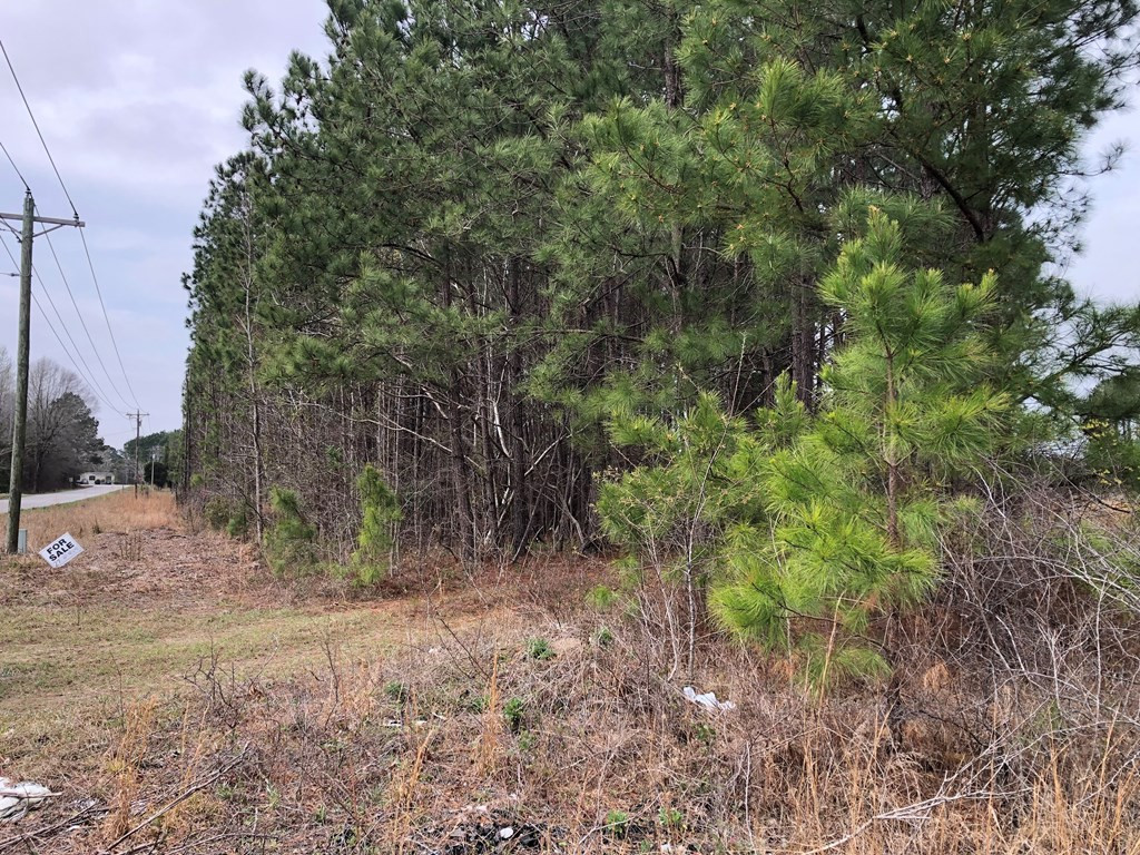 745-755 West Foxworth Mill Road Sumter, SC 29153 - Photo 3 of 6
