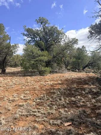 a view of a yard with a tree