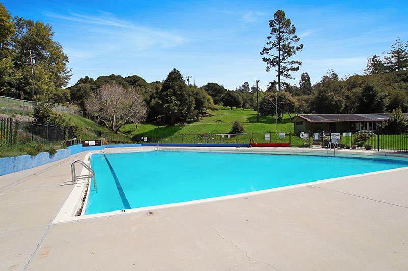 176 Roquena Drive La Honda, CA 94020 - Photo 18 of 21 a view of a park with large trees