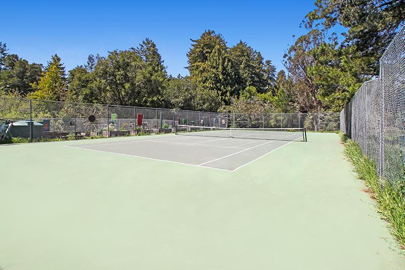 176 Roquena Drive La Honda, CA 94020 - Photo 19 of 21 a view of a basket ball ground