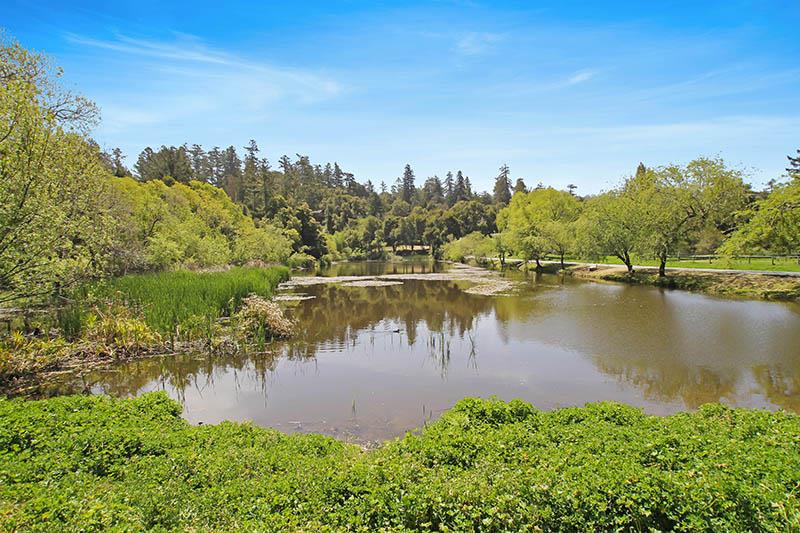 176 Roquena Drive La Honda, CA 94020 - Photo 21 of 21 a view of a lake from a yard