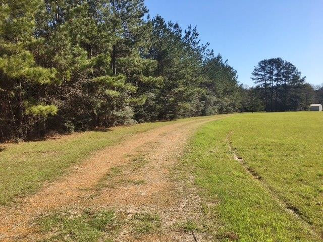 1036 Raborn Road Magnolia, MS 39652 - Photo 1 of 1 Main View