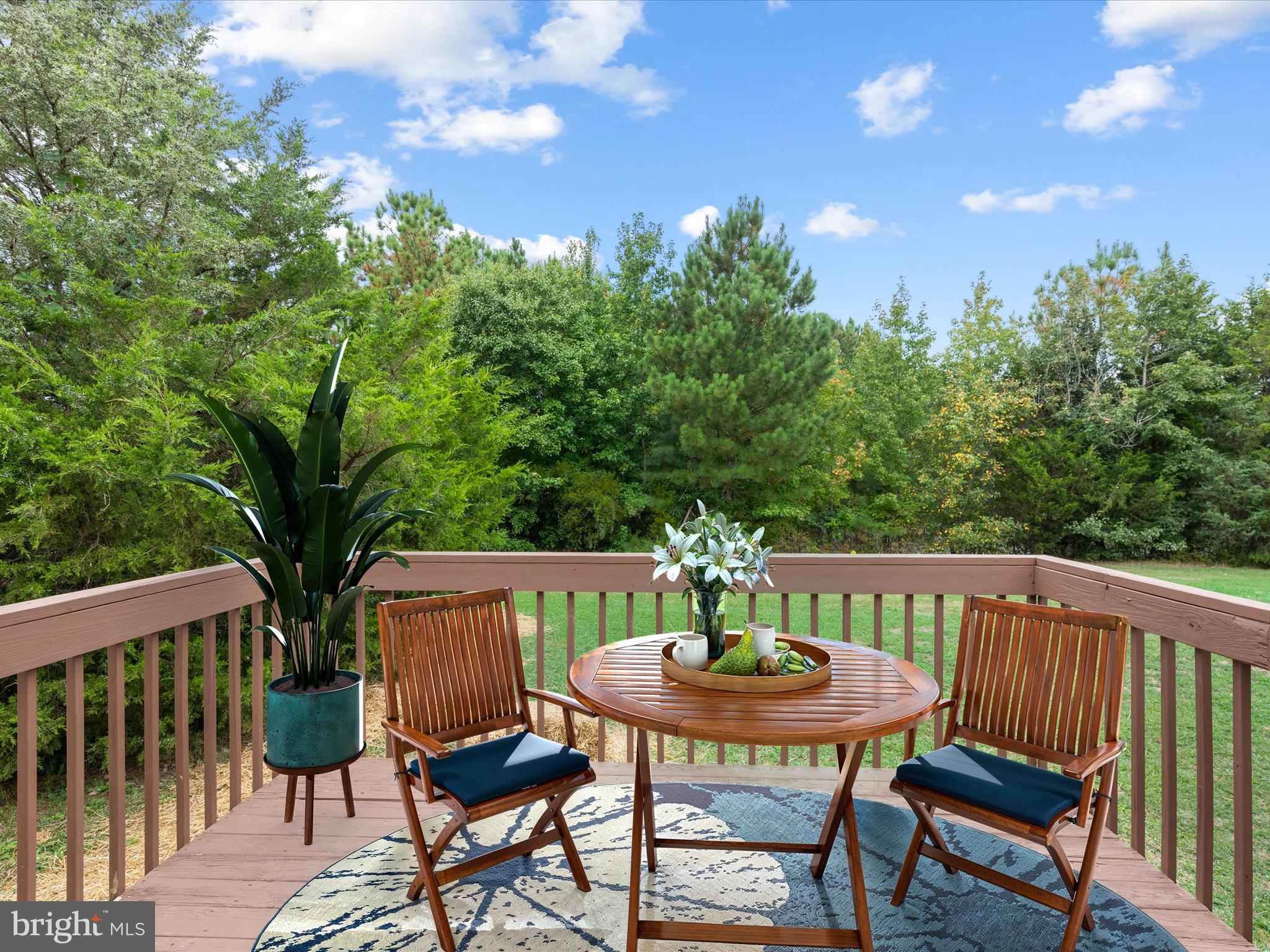 1117 High Street Cambridge, MD 21613 - Photo 43 of 48 Virtually Staged_Rear Deck