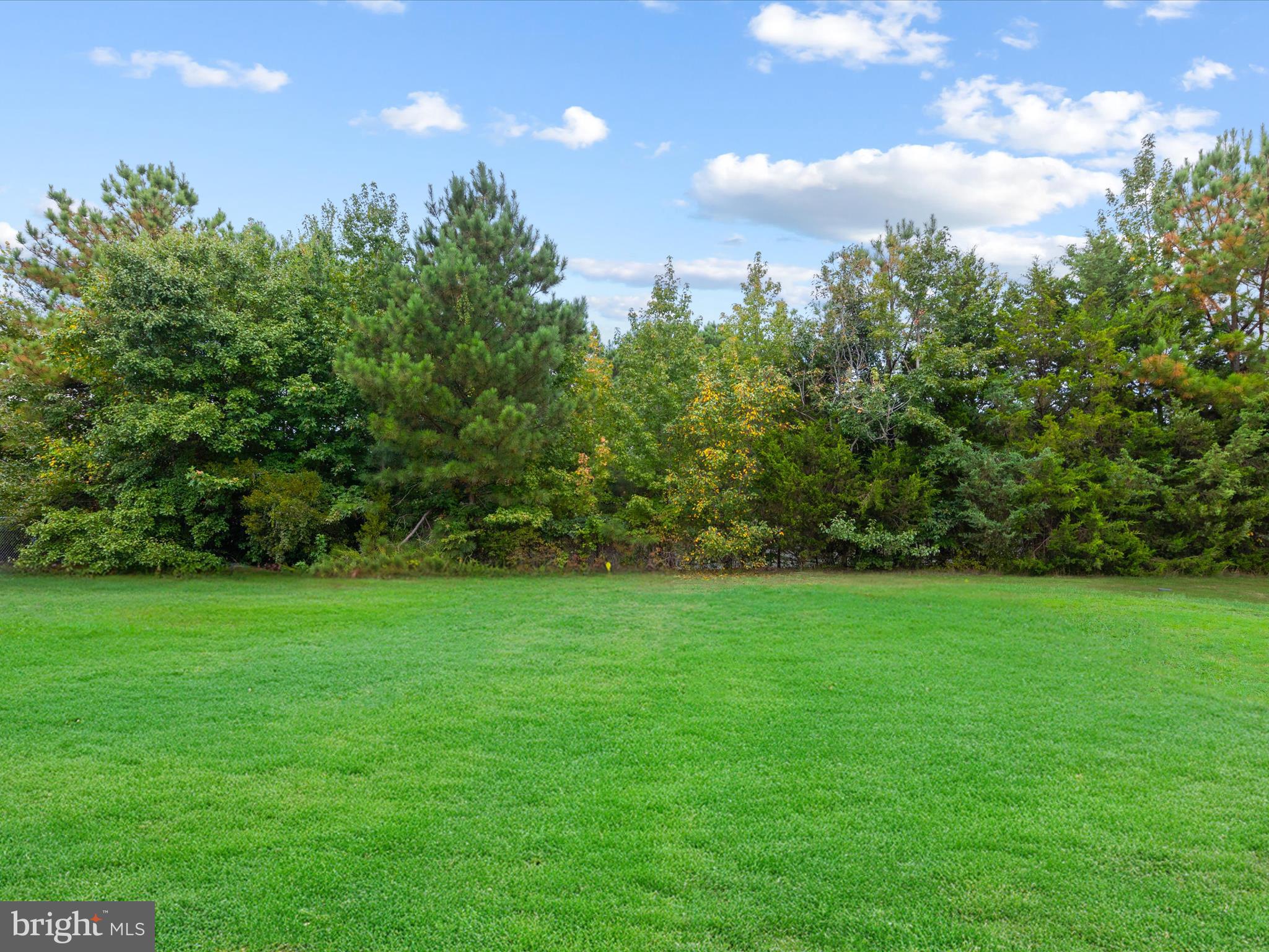 1117 High Street Cambridge, MD 21613 - Photo 45 of 48 Backyard