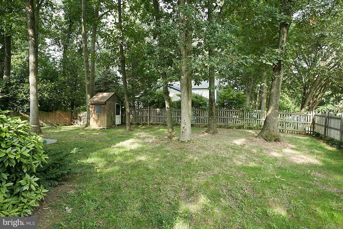 300 Summit Hall Road Gaithersburg, MD 20877 - Photo 6 of 28 Exterior (Rear) yard side